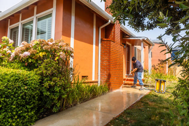 Best Residential Pressure Washing Services  in Marshall, MN