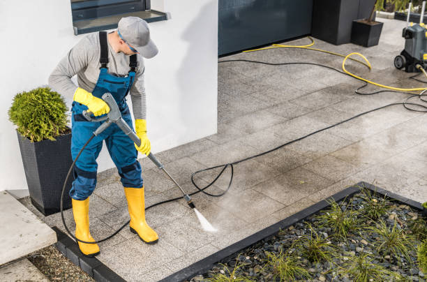 Best Roof Pressure Washing  in Marshall, MN